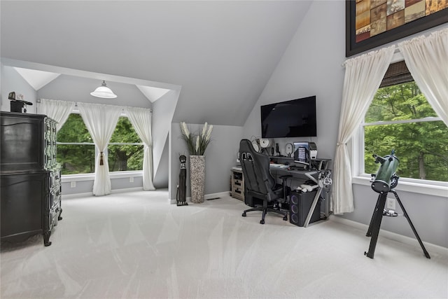 316 Myers Corners Rd, Wappingers Falls, NY 12590 - carpeted office featuring vaulted ceiling, baseboards, and healthy amount of natural light