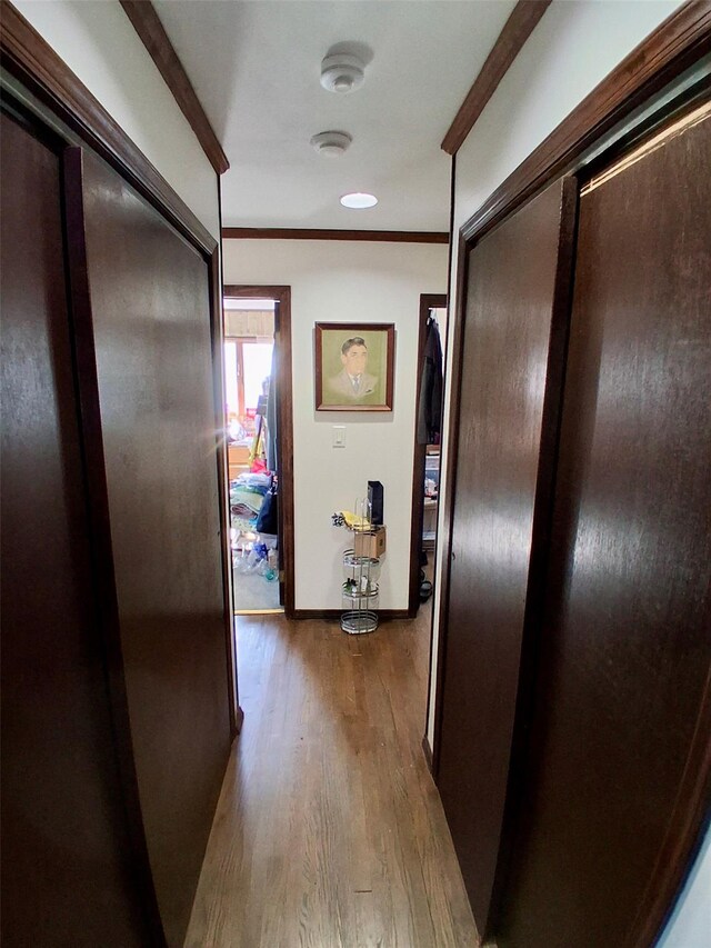 19 Hicks Ave, Syosset, NY 11791 - photo 11