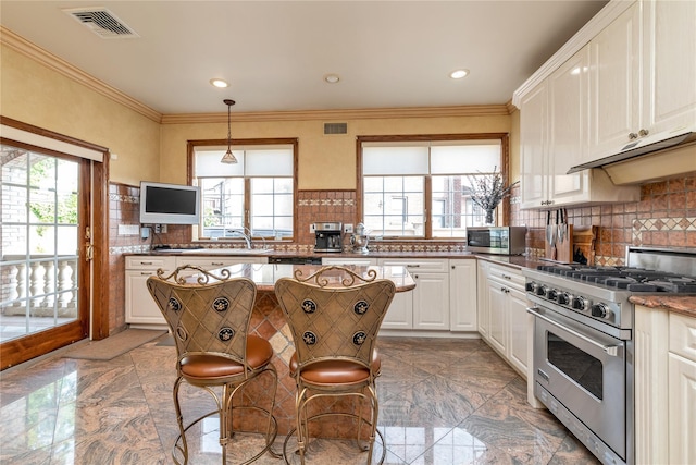 1338 Kearney Ave, Bronx, NY 10465 - kitchen with stainless steel appliances, plenty of natural light, under cabinet range hood, backsplash, and crown molding
