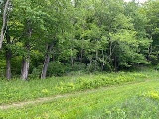 4950 Rte 44, Amenia, NY 12501 - photo 1