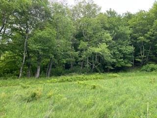 4950 Rte 44, Amenia, NY 12501 - photo 2
