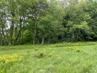 4950 Rte 44, Amenia, NY 12501 - photo 3