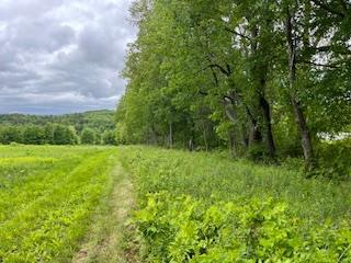 4950 Rte 44, Amenia, NY 12501 - photo 4