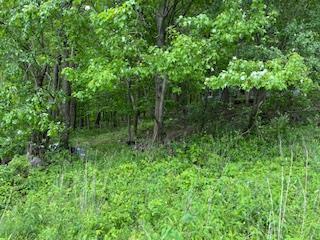 4950 Rte 44, Amenia, NY 12501 - photo 5