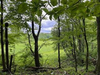 4950 Rte 44, Amenia, NY 12501 - photo 6
