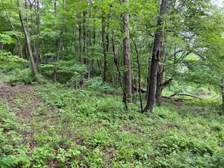 4950 Rte 44, Amenia, NY 12501 - photo 7