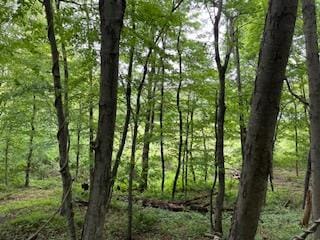 4950 Rte 44, Amenia, NY 12501 - photo 9
