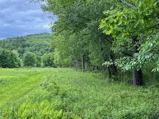 4950 Rte 44, Amenia, NY 12501 - photo 11
