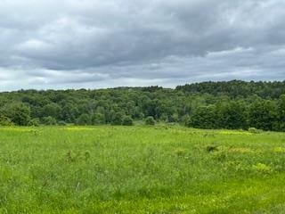 4950 Rte 44, Amenia, NY 12501 - photo 12