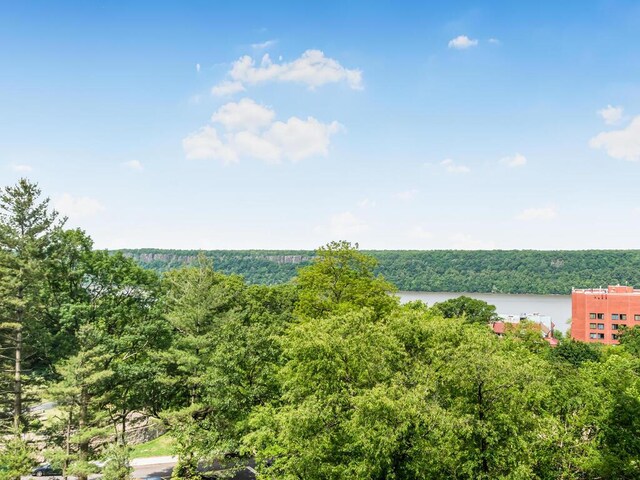 5900 Arlington Ave Unit 6S, Bronx, NY 10471 - water view featuring a forest