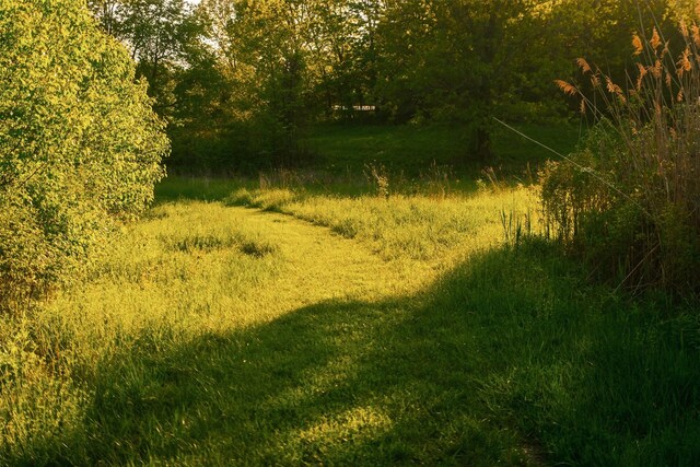  - photo 6