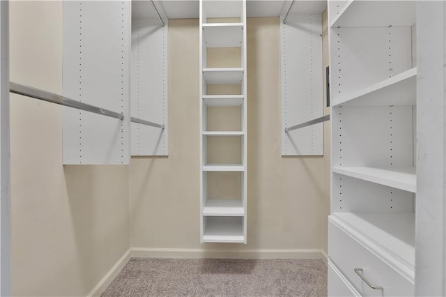 1010 Washington Grn Unit 1010, New Windsor, NY 1255312553 - walk in closet featuring carpet floors