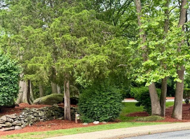 1010 Washington Grn Unit 1010, New Windsor, NY 1255312553 - view of yard