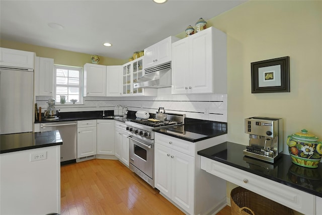 17 Deer Tree Ln, Briarcliff Manor, NY 10510 - kitchen featuring appliances with stainless steel finishes, under cabinet range hood, a sink, white cabinets, and backsplash
