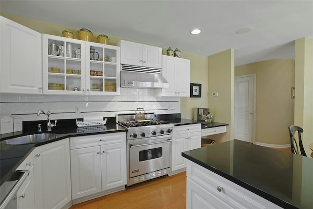 17 Deer Tree Ln, Briarcliff Manor, NY 10510 - kitchen with designer range, ventilation hood, a sink, backsplash, and recessed lighting