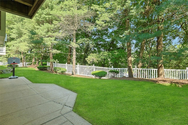 17 Deer Tree Ln, Briarcliff Manor, NY 10510 - view of yard featuring a patio area