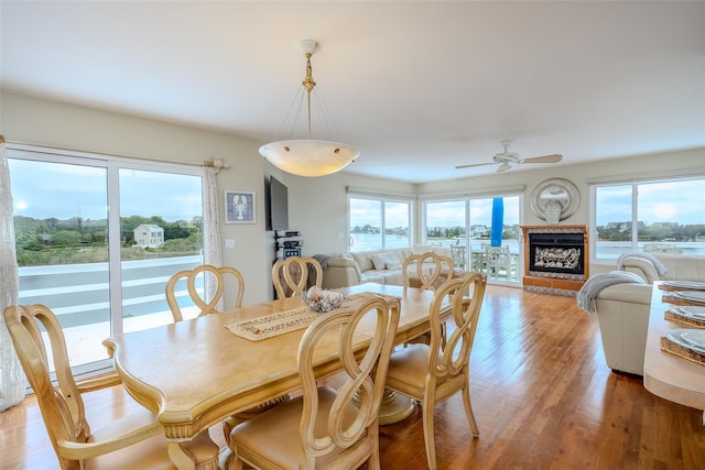 19 Cold Spring Ct, Southampton, NY 11968 - dining space with a fireplace with raised hearth, ceiling fan, light wood-type flooring, and healthy amount of natural light