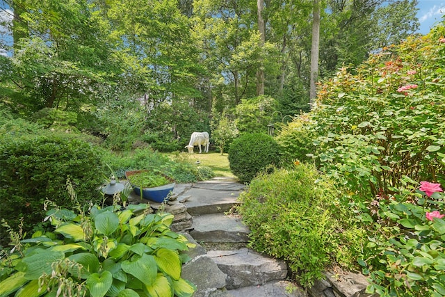 8 Lisa Ln, New City, NY 10956 - photo 36