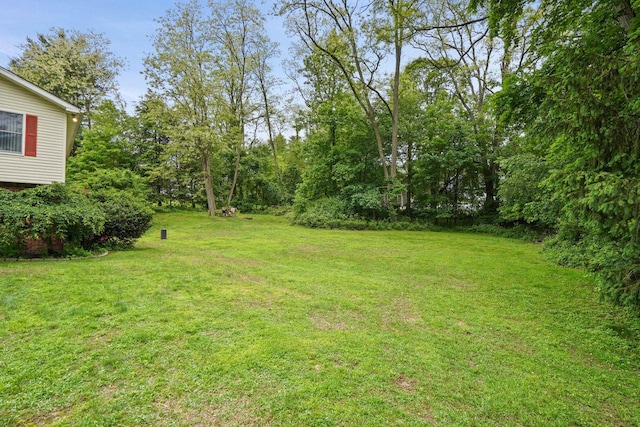 4 Fassitt Dr, Mahopac, NY 10541 - photo 26