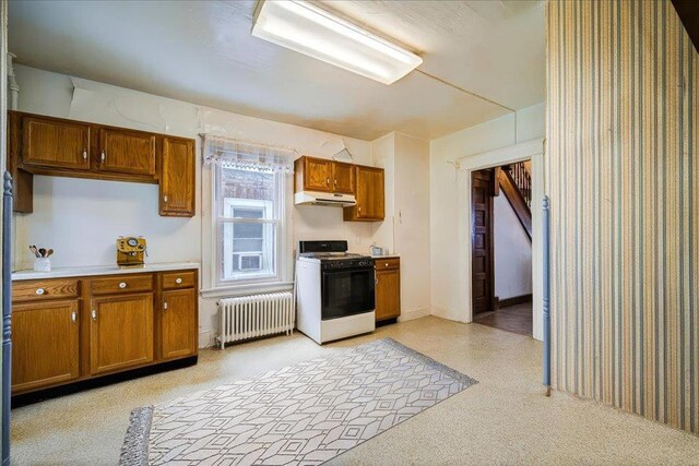 190 Gidney Ave, Newburgh, NY 12550 - photo 8