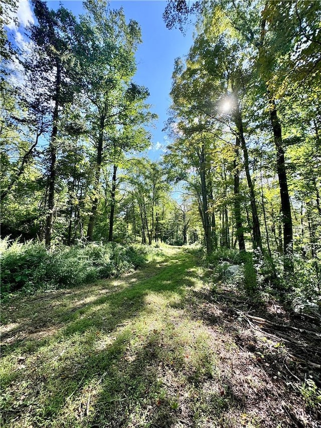 88 Prices Switch Rd, Warwick, NY 10990 - view of local wilderness