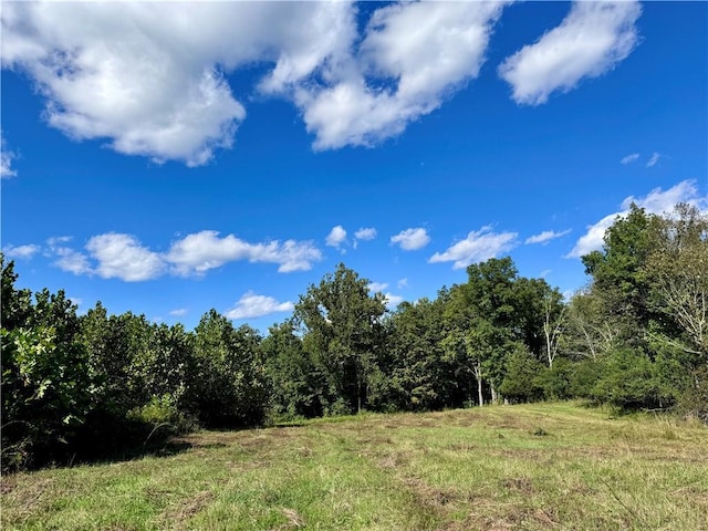88 Prices Switch Rd, Warwick, NY 10990 - view of woods