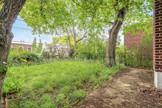 85-82 66th Rd, Rego Park, NY 11374 - view of yard