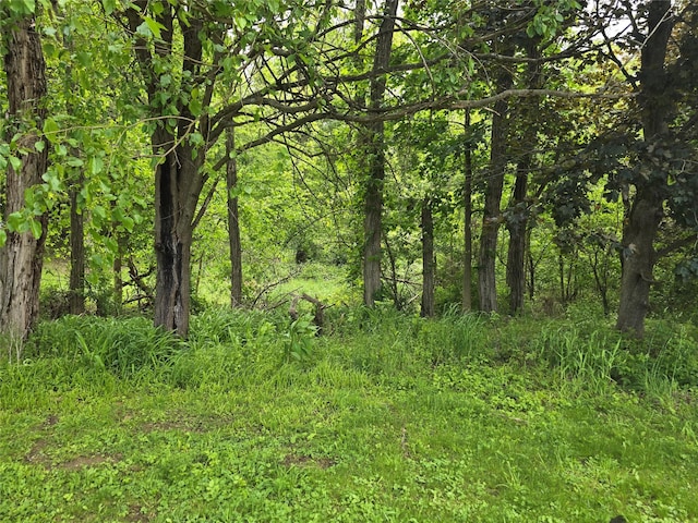 Quaker St, Newburgh, NY 12589 - photo 1