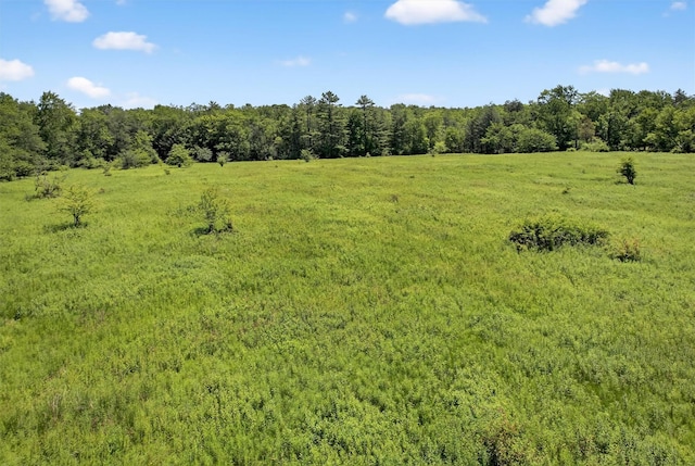 196 Gabriel Rd, Cochecton, NY 12726 - photo 26