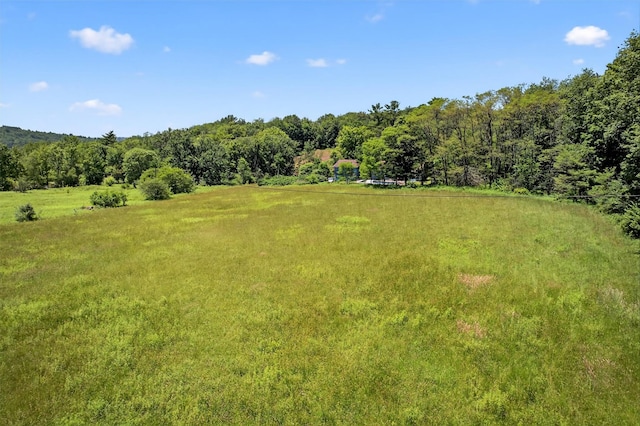 196 Gabriel Rd, Cochecton, NY 12726 - photo 27