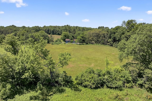 196 Gabriel Rd, Cochecton, NY 12726 - photo 28