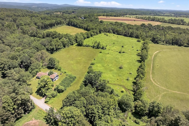 196 Gabriel Rd, Cochecton, NY 12726 - photo 31