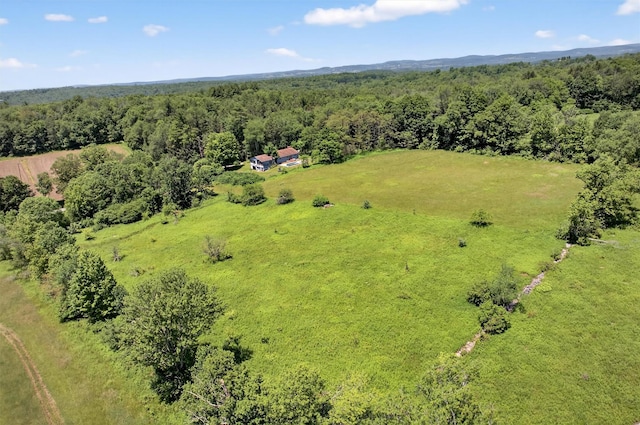 196 Gabriel Rd, Cochecton, NY 12726 - photo 33