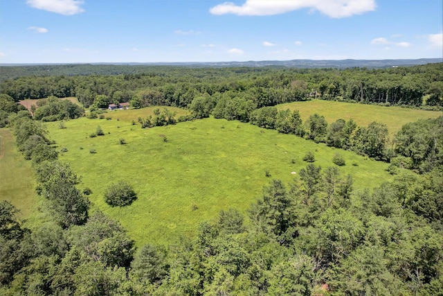196 Gabriel Rd, Cochecton, NY 12726 - photo 35