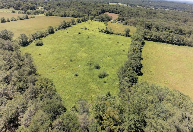 196 Gabriel Rd, Cochecton, NY 12726 - photo 37