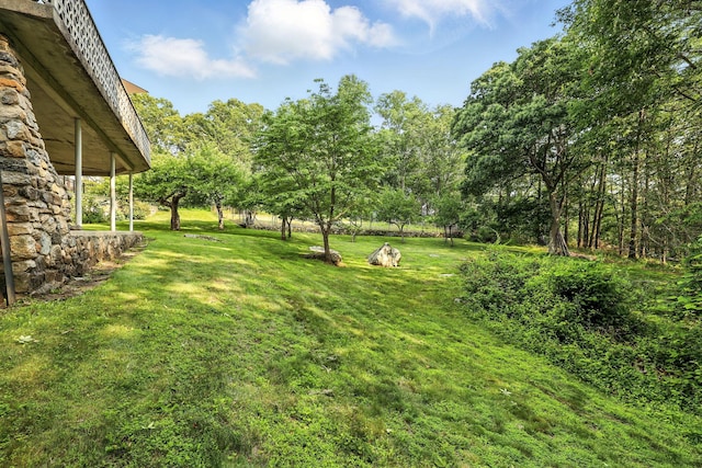 3 David Rd, Somers, NY 10589 - view of grassy yard