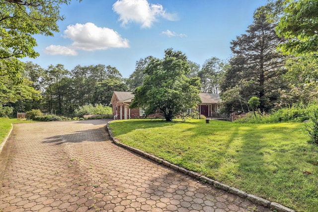 3 David Rd, Somers, NY 10589 - view of front of property featuring a front yard and brick siding