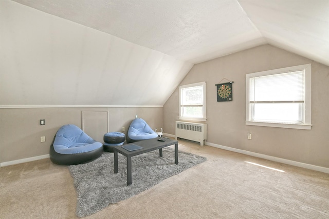 2 Anvil Ln, Levittown, NY 11756 - living area with radiator, vaulted ceiling, carpet floors, and baseboards