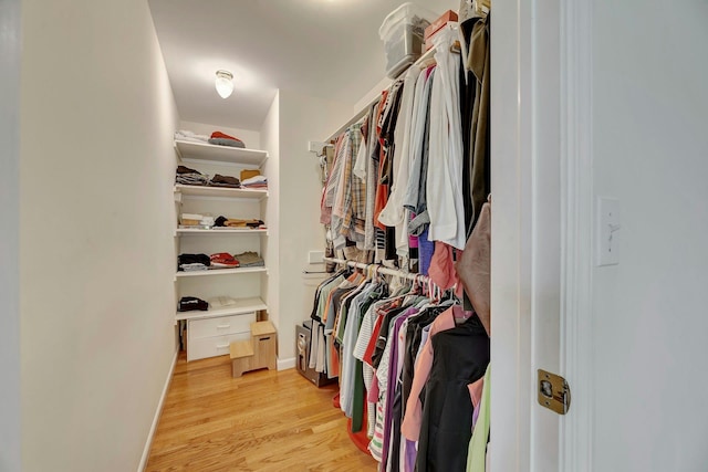 43 Sound Rd, Greenport, NY 11944 - spacious closet with light wood-type flooring