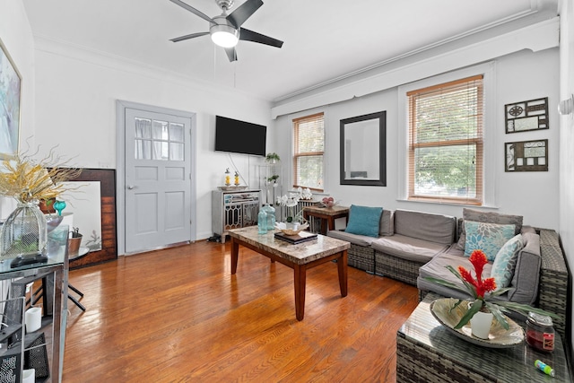 11401 115th St, South Ozone Park, NY 11420 - living room with wood finished floors, plenty of natural light, ceiling fan, and crown molding