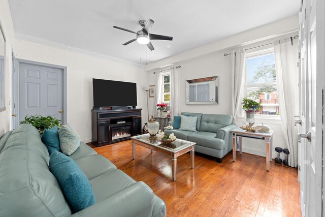 11401 115th St, South Ozone Park, NY 11420 - living room with plenty of natural light, a ceiling fan, light wood finished floors, and crown molding