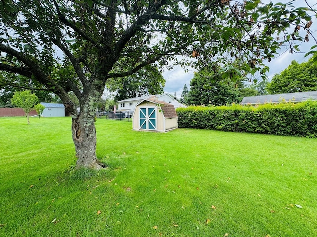 8 Hom St, Chester, NY 10918 - view of yard