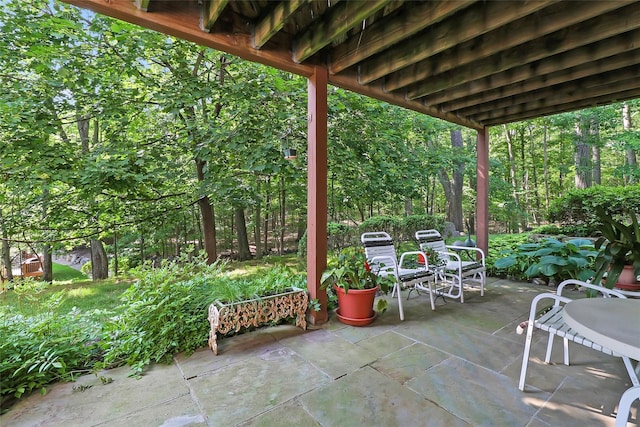 144 Burr Farms Rd, Mount Kisco, NY 10549 - view of patio / terrace