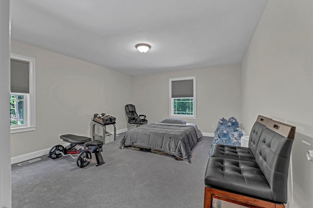 11 Fieldstone Ct, Highland, NY 12528 - bedroom featuring baseboards and carpet