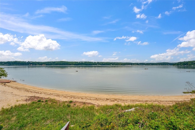 26 Tennis Court Rd, Oyster Bay Cove, NY 11771 - photo 47
