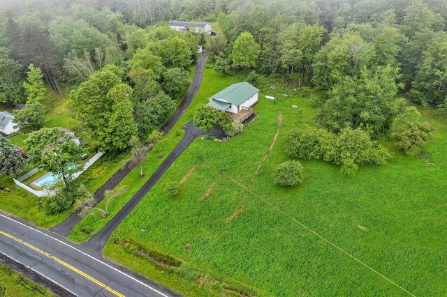 1013 Cooley Rd, Parksville, NY 12768 - photo 4