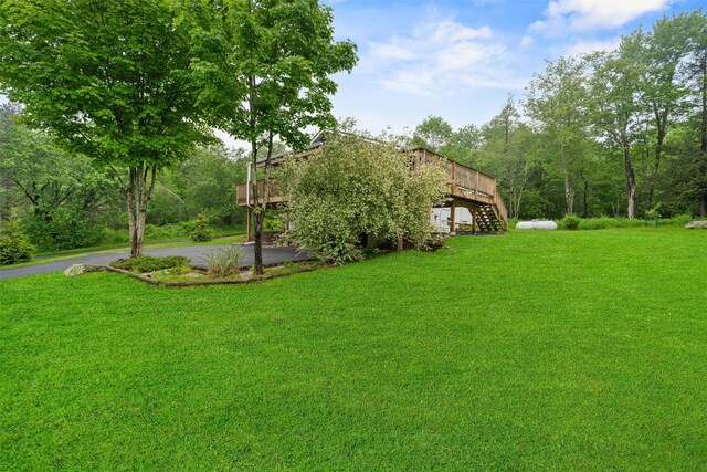 1013 Cooley Rd, Parksville, NY 12768 - photo 6