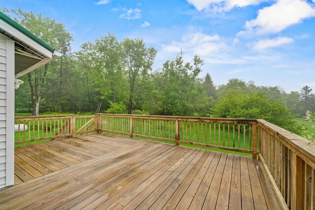 1013 Cooley Rd, Parksville, NY 12768 - photo 30