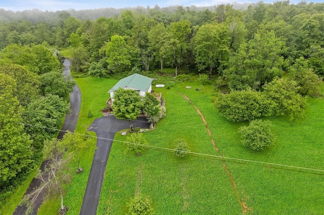 1013 Cooley Rd, Parksville, NY 12768 - photo 36