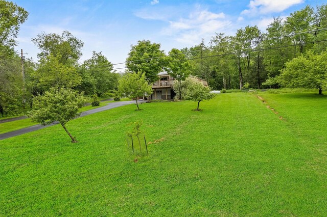 1013 Cooley Rd, Parksville, NY 12768 - photo 38